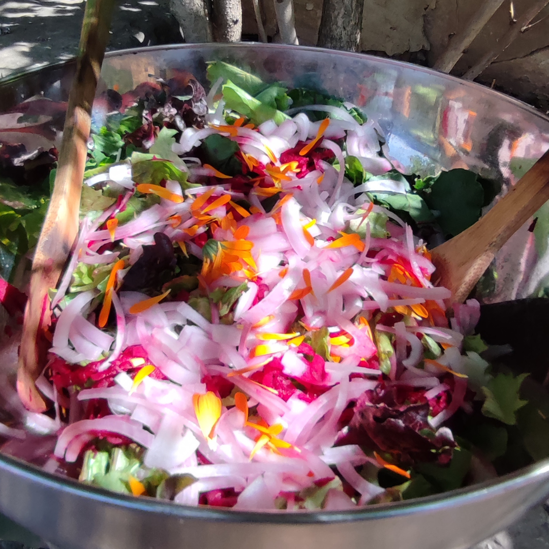 colorful salad